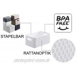 Rotho Country 3er-Set Aufbewahrungsbox 6l in Rattan-Optik Kunststoff PP BPA-frei weiss 3 x A5 6l 28,0 x 18,5 x 12,6 cm