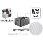 Rotho Country Aufbewahrungskiste 18l in Rattan-Optik Kunststoff PP BPA-frei anthrazit A4 18l 36,8 x 27,8 x 19,1 cm