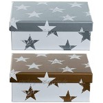 Brandsseller Geschenkbox Aufbewahrungsbox Kartenkarton mit Deckel Stabiler Karton 13er Set in absteigender Größe Sterne Silber
