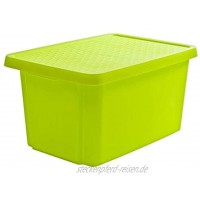 CURVER Aufbewahrungsbehälter mit Deckel Box Ordnungbox 45L grün