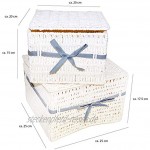 DRULINE 2er-Set Rattanbox Aufbewahrungskorb Aufbewahrungsbox Kunststoffkorb mit Deckel Blauanthrazit CP-6001