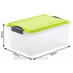 Rotho Compact Aufbewahrungsbox 13l mit Deckel Kunststoff PP BPA-frei transparent grün A4 13l 39,5 x 27,5 x 18,0 cm