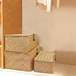 Esoes Aufbewahrungskorb aus geflochtenem Rattan Aufbewahrungsbox mit Deckel Seegras Wäschekörbe Make-up-Organizer für Badezimmer Wohnzimmer Küche