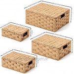 EZOWare 4er Set Rattankorb aus gewebtem Papierseil mit Deckel Dekorative Regal Körbe Aufbewahrungsbox Rattan für Aufbewahrung von Haushaltsgegenständen Beige