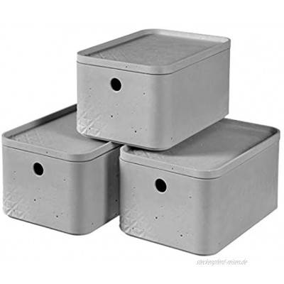 CURVER Aufbewahrungsbox S mit Deckel 4 L 3er Set Kunststoff Hellgrau Beton Small
