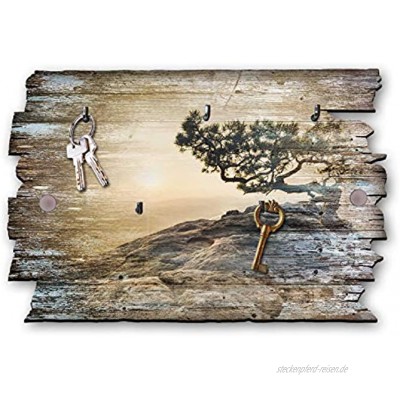 Kreative Feder Baum Designer Schlüsselbrett Hakenleiste Landhaus Style Shabby aus Holz 30x20cm HSB020