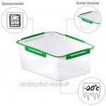 Rotho Memory grosse Frischhaltedose 5l mit Deckel Kunststoff PP BPA-frei transparent grün 5l 29,0 x 22,0 x 12,1 cm