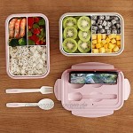 Bento Box,Lunchbox Kinder Brotdose Kinder Lebensmittelbehälter BPA-frei,Lunchbox mit 3 Fächern und Besteck Auslaufsichere Brotzeitbox,Vesperdose Mikrowelle Heizungbeige