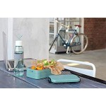Mepal Take a Break midi – Nordic Green – 900 ml Inhalt – Lunchbox mit Trennwand – ideal für Mealprep – spülmaschinenfest ABS