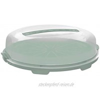 Rotho Fresh Flache Tortenglocke Kunststoff PP BPA-frei türkis transparent 34.5 cm