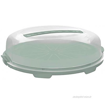 Rotho Fresh Flache Tortenglocke Kunststoff PP BPA-frei türkis transparent 34.5 cm
