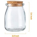 Mini-Einmachgläser mit Korkdeckel 30 Stück 200 ml Hochzeitsgeschenke Honigtopf mit Etikettenanhänger und Schnur