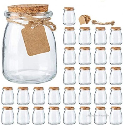 Mini-Einmachgläser mit Korkdeckel 30 Stück 200 ml Hochzeitsgeschenke Honigtopf mit Etikettenanhänger und Schnur