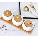 AWQREB Porzellan Gewürzglas Gewürzbehälter Set Keramik Cruet Pot für Zuckerdose Serviert Tee Kaffee Gewürz mit Bambusdeckel & Tablett
