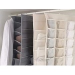 LAOSHIZI Hängende Aufbewahrungstasche Doppelseitige Hängen Closet Organizer mit 30 Taschen für BH-Tasche Socken Unterwäsche Grau