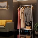SANAWATEC Kleiderständer Garderobenständer Kleiderstange mit einer Ablage im unteren Bereich für Schuhe und Boxen Garderobe Tragfähigkeit 50 kg platzsparend für Schlafzimmer Büro Flur weiß